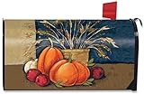 Fall Abundance Pumpkins Mailbox Cover Foliage Autumn Floral Briarwood Lane [並行輸入品]