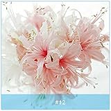 2リリー球根色香水ユリフラワーシードリリウム盆栽鉢植え植物家庭用高品質栽培しやすい12