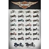 ハーレーダビッドソン (Evolution) ポスター