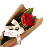 翌日配達お花屋さん 【”愛”伝える１ダースのバラ花束。。。一ダースのバラ（スペシャルレッドローズ花束）誕生日・記念日・お祝い・お見舞い・歓送迎会・結婚祝いお礼に最適