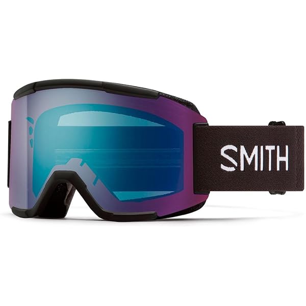Amazon | [Smith] スミス スノーゴーグル 交換レンズ SQUAD スカッド