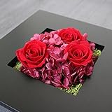 A plus floral art プリザーブドフラワー ブラックフレーム アレンジ 縁 （えん） 壁掛け インテリア ギフト プレゼント お祝い