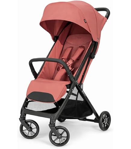 Amazon.co.jp: Inglesina QUID2α イングリッシーナ クイッド2α 【日本