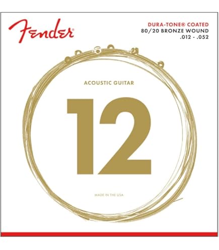 Amazon.co.jp: Fender ハードケース FLAT-TOP DREADNOUGHT ACOUSTIC