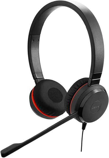 【2026年モデル】Jabra ヘッドセット Evolve 20 SE MS Stereo USB C/A 両耳 有線 ヘッドホン マイク付き ステレオ USB-C/USB-A接続【メーカー2年保証付き】 軽量 ノイズキャンセリング 一日中快適なレザークッション 会議 - 1