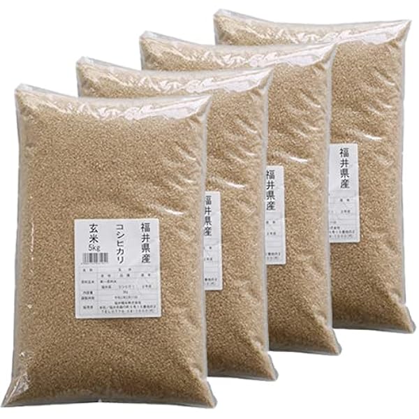 令和6年 コシヒカリ 玄米 20kg 福井県産 【公式通販】