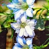 Hot*100pcs/bag Ornamental Gentian Seeds Four Seasons Easy To Grow Yard Or Potted Flower Seeds For Ho