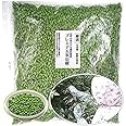 2023新物 【可食部100％】(枝取り済・アク抜き済）生冷凍 和歌山県産 実山椒 500g【味通ネットワーク】 【 サンショウさんしょう サンショ 山椒の実 実山椒 】