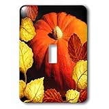 Doreen Erhardt秋コレクション – Large Pumpkin Surrounded by Autumn Leaves in Fallカラー – 照明スイッチカバー – シングルトグルスイ
