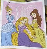 Princesses Disney Cuddle Fleece Throw - 50 Inches By 60 Inches [並行輸入品]