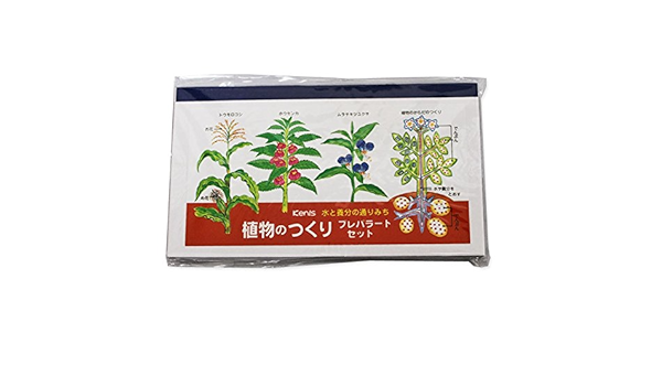 Amazon 観察用プレパラートセット 植物のつくり 学用品 文房具 オフィス用品