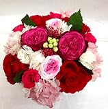 カシスピンクと情熱のレッド　プリザーブドフラワー（丸薔薇）お祝い・母の日に！　Lサイズのクリアケース入り☆　芦屋セレブ御用達の店