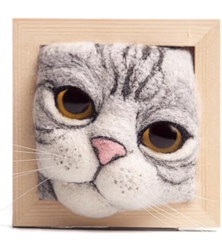 Amazon.co.jp: AZ-FRONT 羊毛フェルト DIY キット 手作り猫顔デザイン