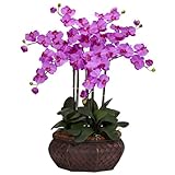 ほぼ自然1201-or Large胡蝶蘭シルク花Arrangement、Orchid