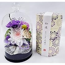 51Eit-fV-0L._AC_UL210_SR210,