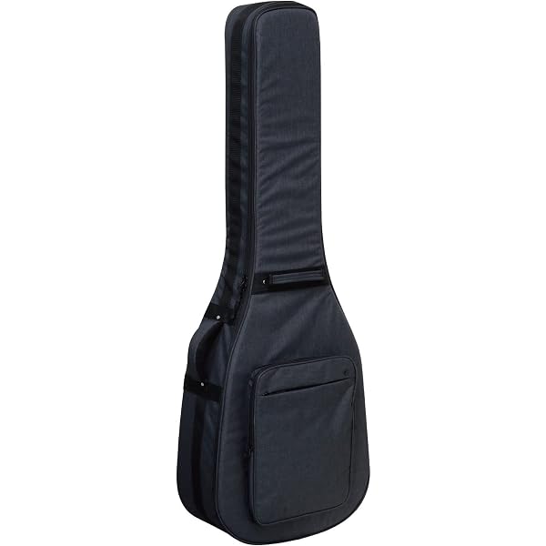 Amazon.co.jp: RITTER RGB4-AB ANT BERN Acoustic Bass