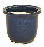 生子大深 8号 信楽焼　植木鉢　ガーデニング　陶器鉢