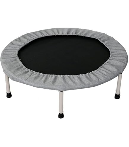 Amazon.co.jp: INTEX(インテックス) トランスパレントリングジャンプ 