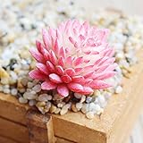 エレガントで美しい造花 生きているような多肉植物 ミニチュア植物 ホームフローラルデコレーション テーブルデコレーション PHO_00ZC27ZY