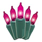 Brite Star 150 Count 8-Function Chasing Light Set with Green Wire, Purple [並行輸入品]