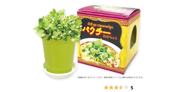 Amazon パクチー栽培セット 栽培キット オンライン通販