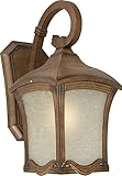 Forte Lighting 1814-01-41 Exterior Wall Light with Umber Linen Glass Shades, Rustic Sienna [並行輸入品]