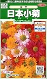 サカタのタネ 実咲花6262 日本小菊 混合 00906262 10袋セット