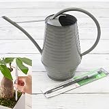 Fallen Fruits水差しグレーと植物用水分計サスティーMサイズブラウンのセット ノーブランド品
