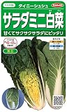 サカタのタネ 実咲野菜2621 タイニーシュシュ サラダミニ白菜 10袋セット