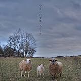 �₳�������y