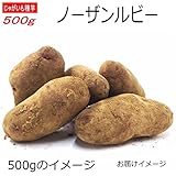 じゃがいも 種芋 ノーザンルビー 500g ジャガイモ