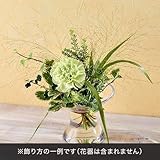 切り花 花材 飾って楽しむ「ヴェール ムース」 日比谷花壇