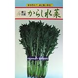 水菜 種 からし水菜 小袋（約5ml）