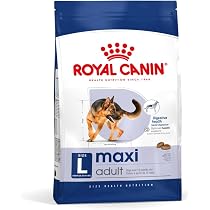 Amazon.co.jp: ロイヤルカナン SHN ミニ アダルト 犬用 8kg : ペット用品