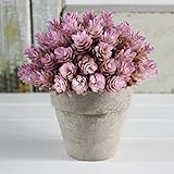 Kooyi 光触媒 インテリア グリーン フェイクグリーン 人工観葉植物 鉢植え (ラッキー, パープル)
