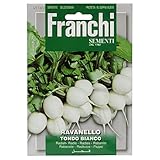 野菜の種 ラディッシュ TONDO BIANCO 112/2
