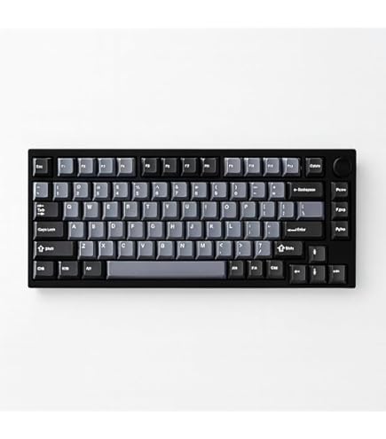 Amazon | VARO 日本語配列テンキーレス メカニカルキーボードVM87-J