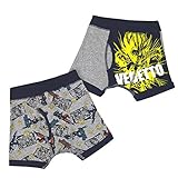 ドラゴンボールスーパー超 ボクサーパンツ ブリーフ 2枚組 肌着 fo-77b159 120