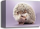 Hedgehog用紙印刷壁アートギャラリーWrappedキャンバスアート 8in. x 10in.