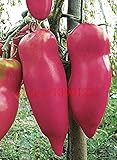 200pcs rare Tomato seeds Pertsevidnyy Rozovyy Pink Pepper Organic Heirloom Variety Non-GMO vegetable