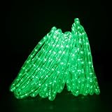 Direct-Lighting RLWL-50-GRN Green 50ft LED Rope Light [並行輸入品]