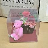 〔エルフルール〕ミニベアー&プリザーブドフラワーセット レッド クリアケース付 プレゼント 誕生日祝い 結婚祝い 結婚記念日 お祝い フラワーギフト 花ギフト