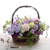 出産お祝いの花 シックな紫バラ バスケットフラワーアレンジメント