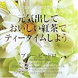 MLESNA TEA CUBE BOX ブルービードロ 27.5g(2.5g×11包)