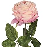 (ヒル・インテリアズ) Hill Interiors ハイビスカスローズ 造花 アーティフィシャルフラワー イミテーションフラワー デコレーション (ワンサイズ) (ライトピンク)