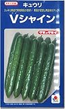 キュウリ（胡瓜）種子・Vシャインきゅうり（12粒）