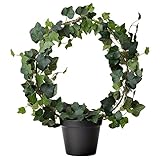 IKEA(イケア) FEJKA 20239915 人工観葉植物, ヘデラ