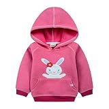 子供服 秋冬 スウェットパーカー フード付き トレーナー フーディ 長袖 厚手 可愛い うさぎ柄 刺繍 女の子 2色
