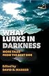 What Lurks in Darkness: More Tales from the Bent Side (English Edition)