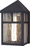 Volume Lighting V6961-36 1-Light Outdoor Wall Sconce, Antique Iron [並行輸入品]